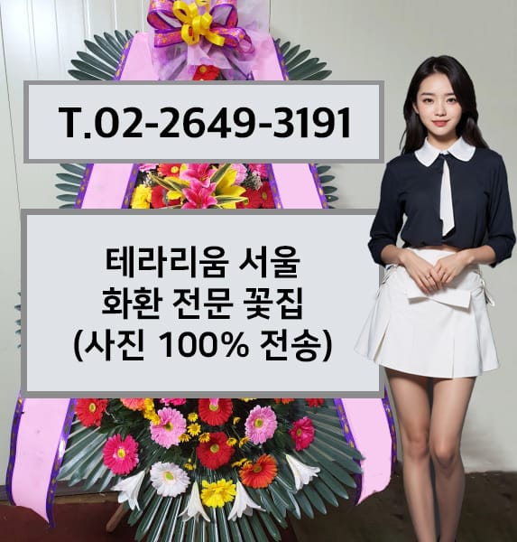 테라리움 서울 화환 전문 꽃집